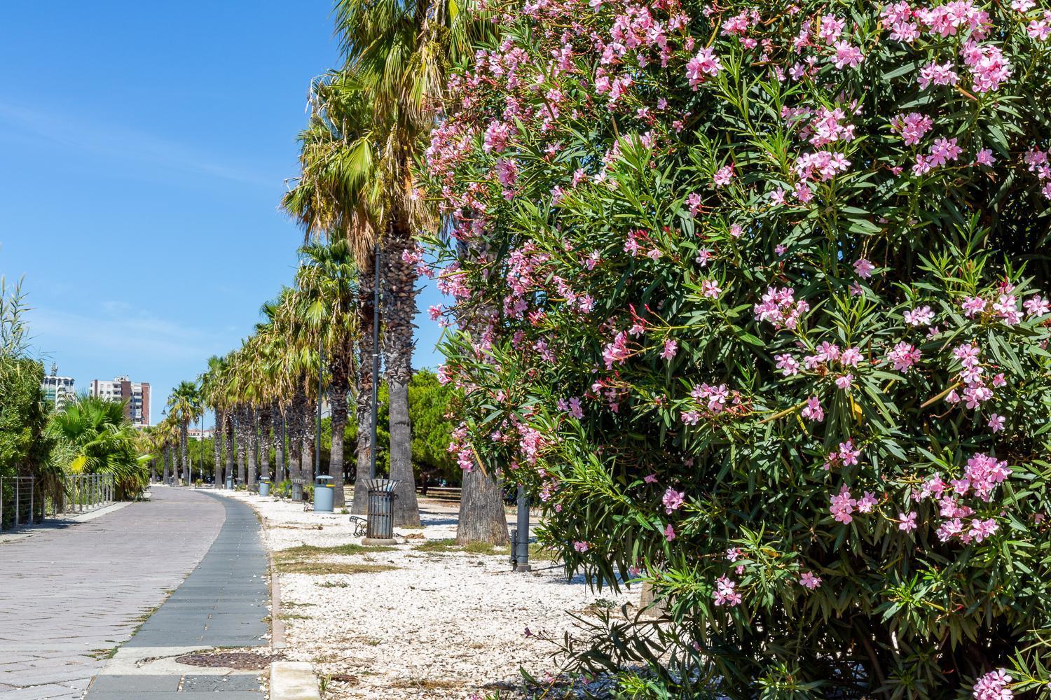 Sunichele Luxury Apartment Cagliari Exteriör bild